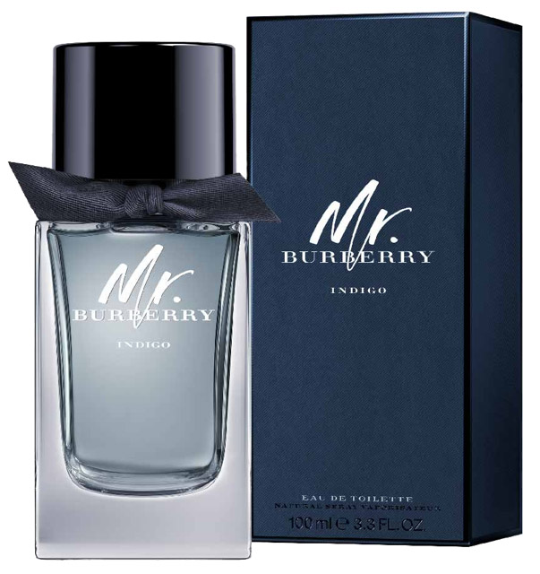 Burberry Mr. Burberry Indigo Eau De Toilette 100ml
