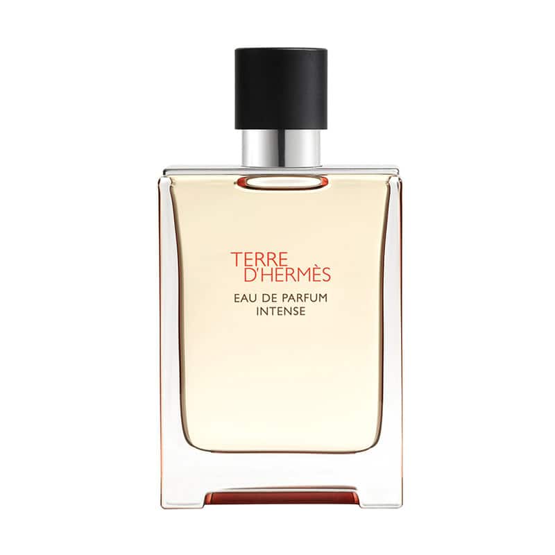 Hermes Terre d'Hermes Eau De parfum intense, 100ML