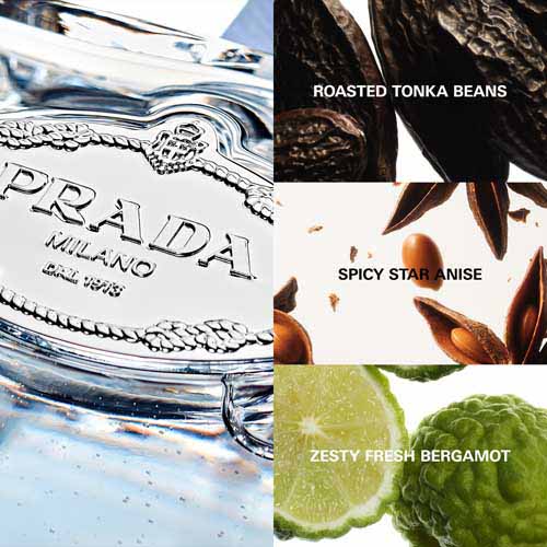 Prada Infusion Amande EDP 100ml