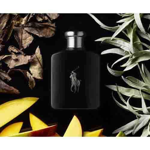 Ralph Lauren Polo Black EDT 75ml