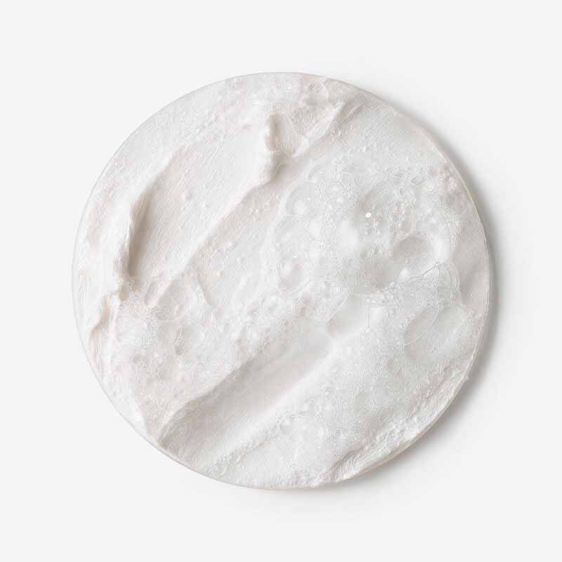 Estée Lauder Perfectly Clean Multi-Action Foam Cleanser/Purifying Mask