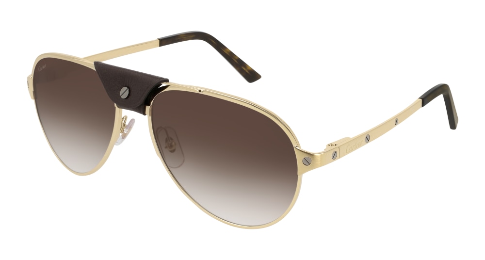 Cartier Man Sunglass CT0034S-011