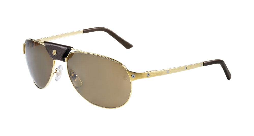 Cartier Unisex Sunglass CT0074S-003