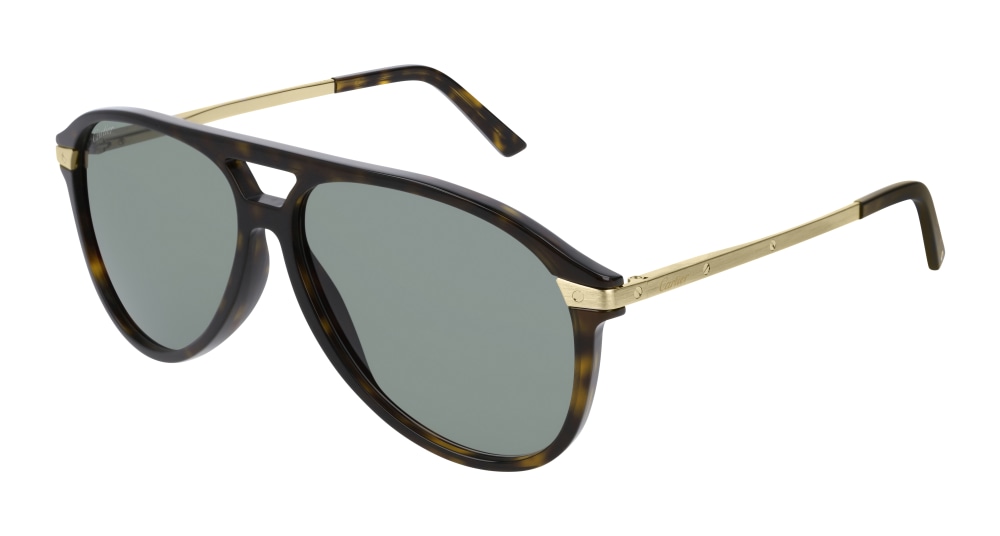 Cartier Man Sunglass CT0105S-002