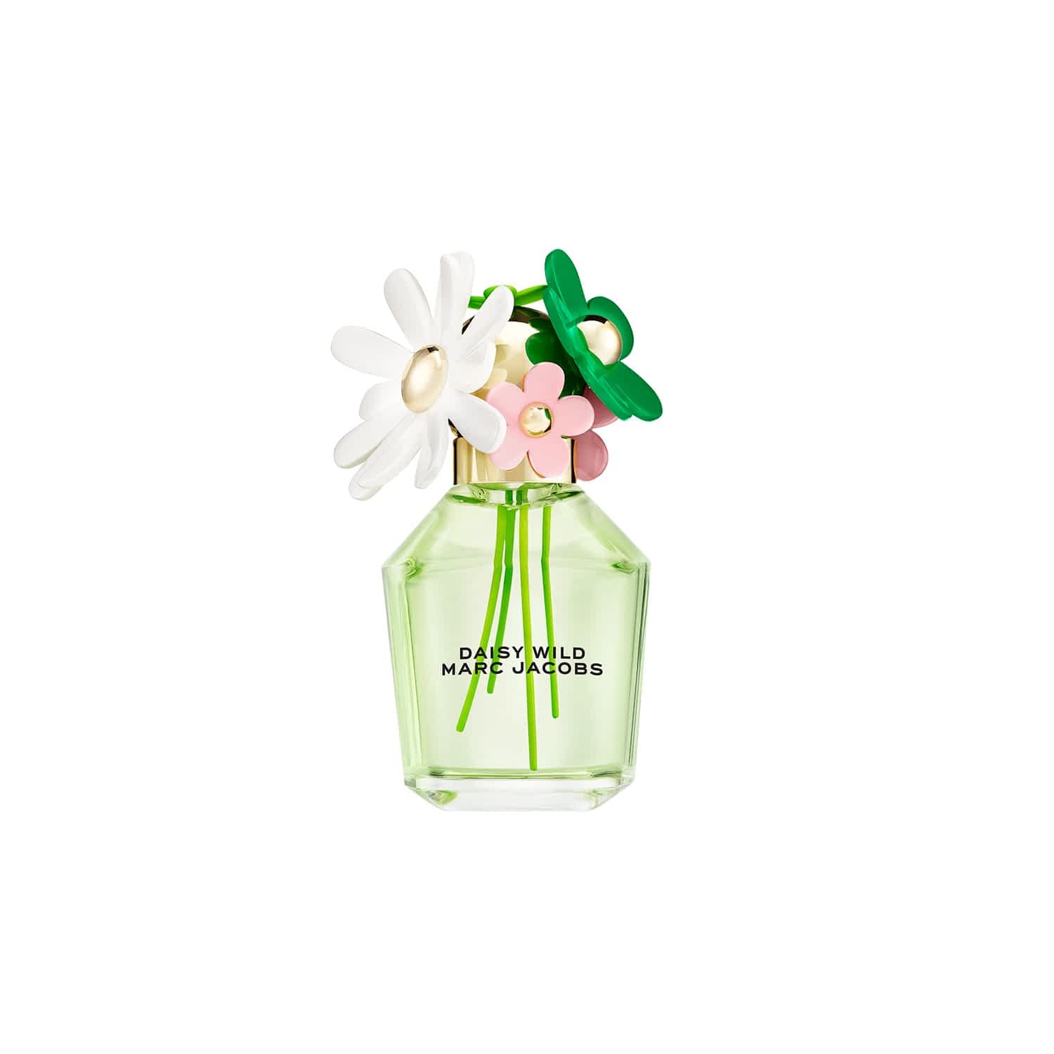 Marc Jacobs Daisy Wild Eau de Parfum for Women 100ml (3.3oz)