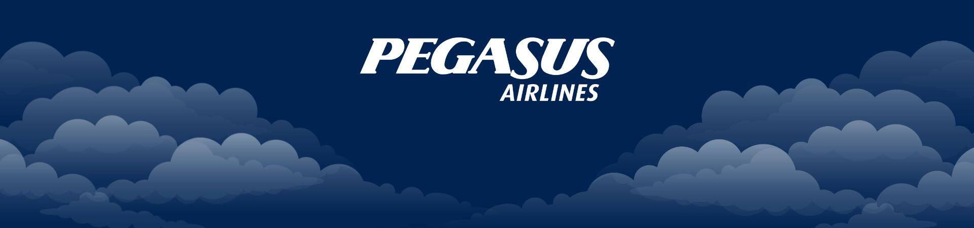 Pegasus Airlines Flight Booking