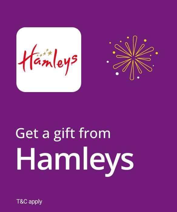 Get a gift from Hamleys