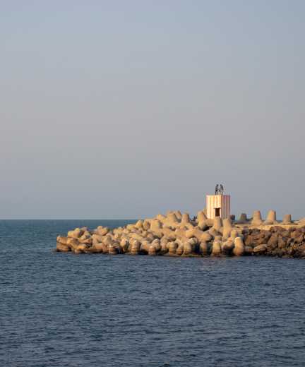 Royapuram Fishing Harbour2