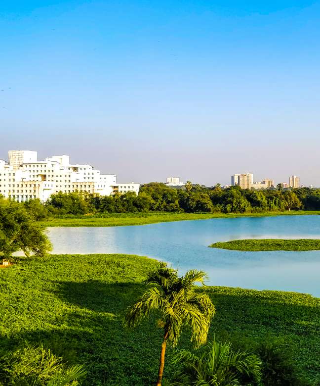 Powai lake