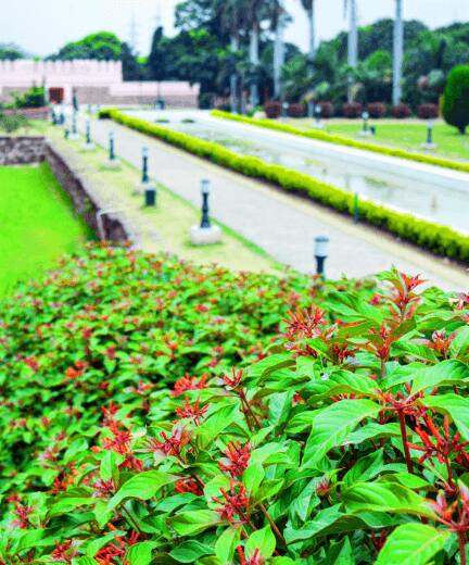 botanical garden