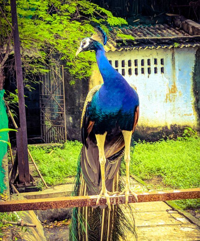 Sarthana Nature Park