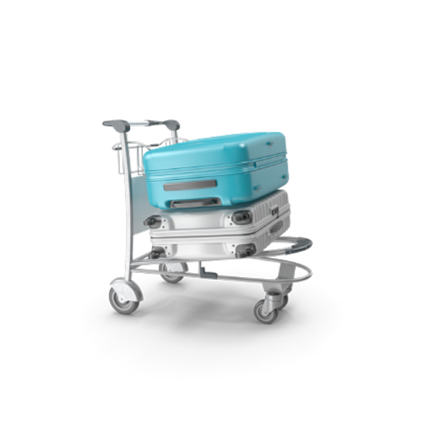 Self Baggage Drop service