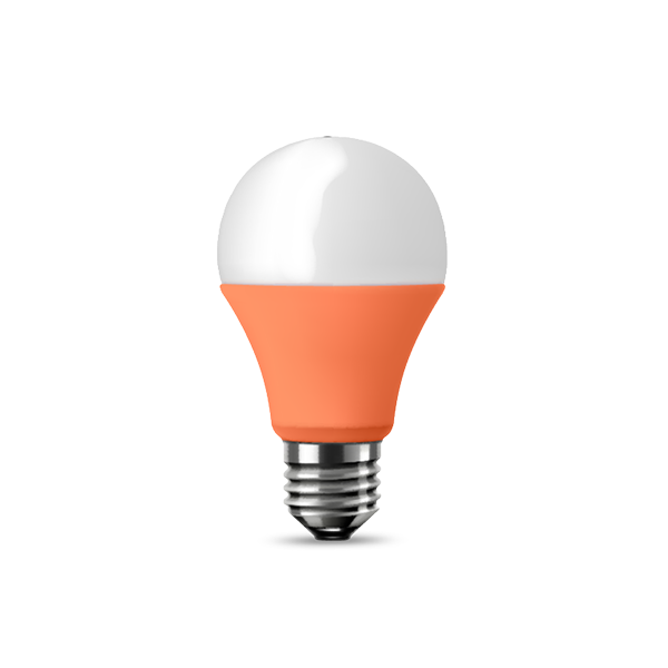 Electricity service