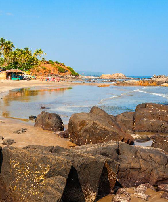 Goa Tourism Embracing Coastal Charms and Spice Plantations