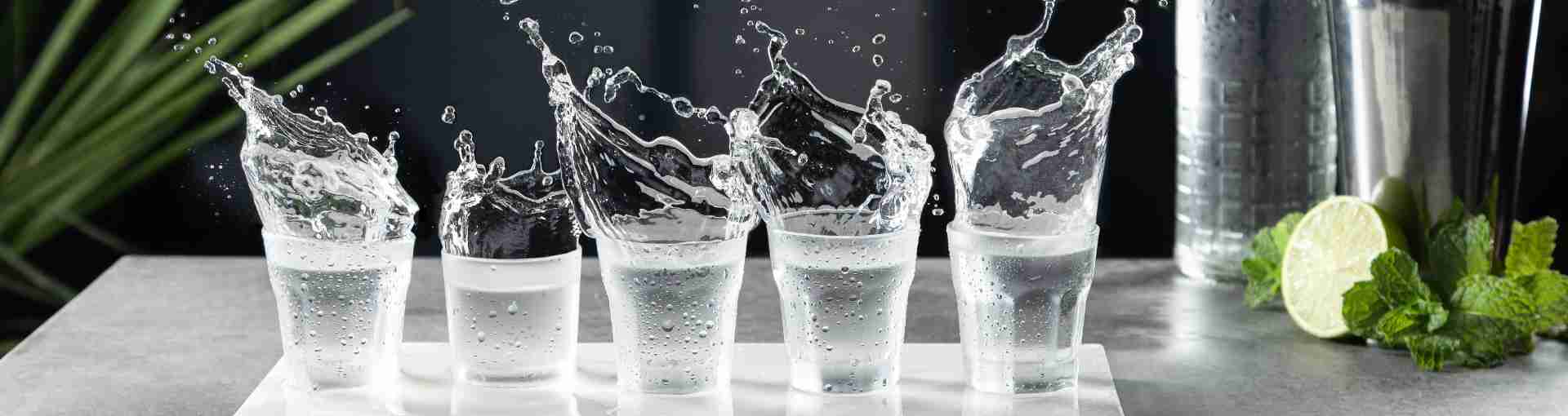 Top Vodka brands with price volume and alcohol percentage