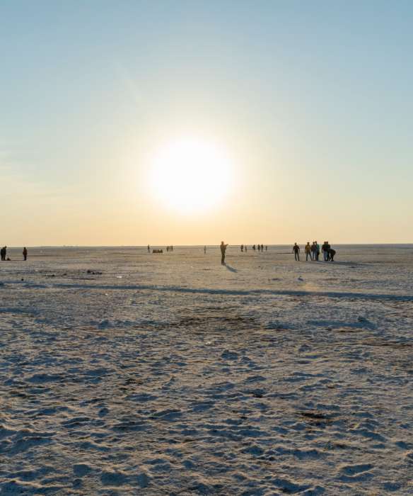 A Cultural Extravaganza: Rann Utsav in Gujarat