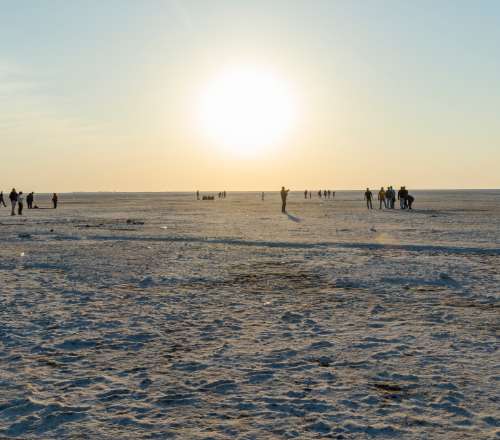 A Cultural Extravaganza: Rann Utsav in Gujarat