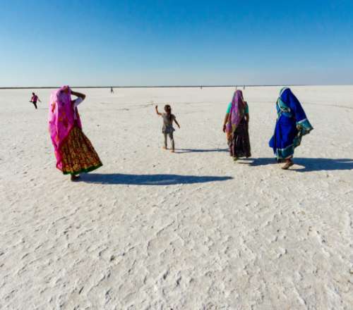 Capturing the Vibrant Beauty of Rann Utsav: A Photographer's Delight 