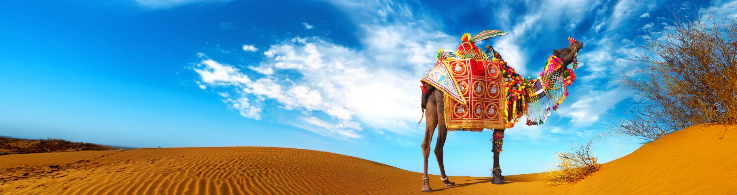 Jaisalmer Desert Festival - History, Cultural Spectacles, Facilities ...