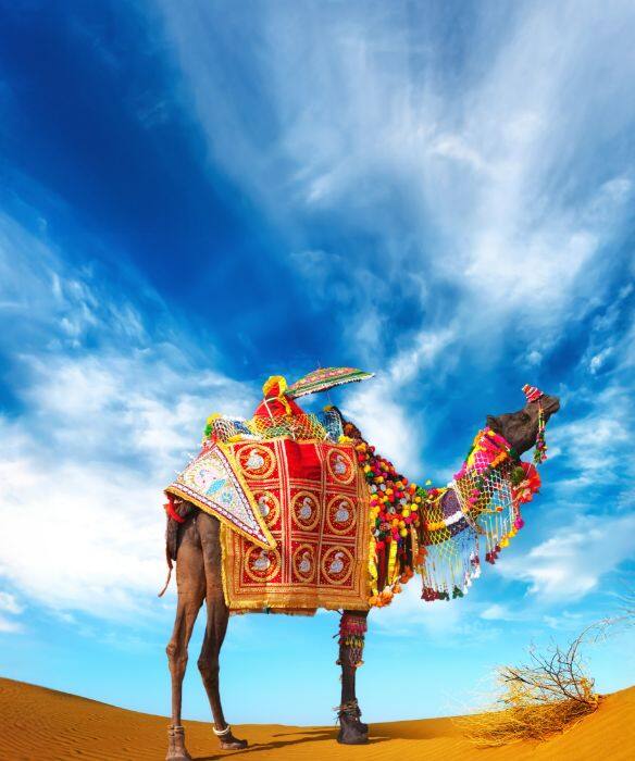 Jaisalmer Desert Festival