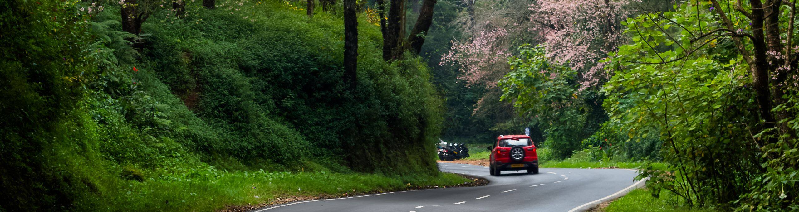 Of Beats and Blooms the Shillong Cherry Blossom Festival