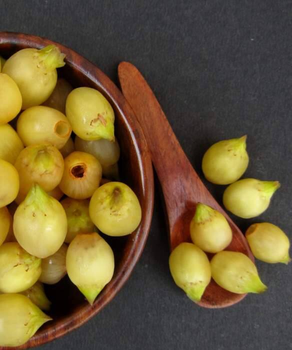 Exploring the Rich Heritage of Mahua Indias Tribal