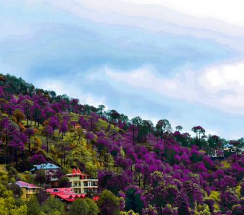 The Himalayan Charm of Amritara Chateau Kasauli an IIdyllic Retreat for the Soul