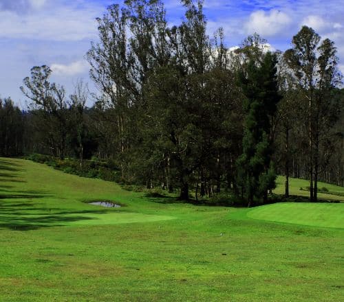 Discover an Oasis of Calm Overlooking an 18 Hole Golf Course in Coorg