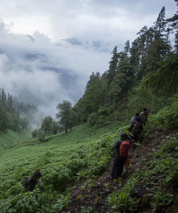 Living the Hippie Life in the Hills my Experience in Parvati Valley