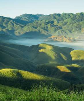 Experience the Konyak Way of Life at the Konyak Tea Retreat in Nagaland