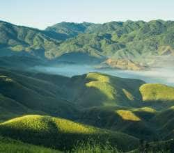 Experience the Konyak Way of Life at the Konyak Tea Retreat in Nagaland