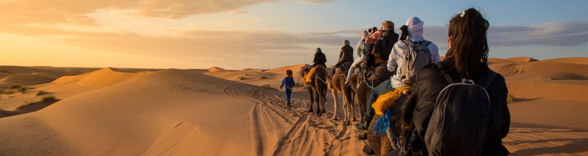 Collective Travel