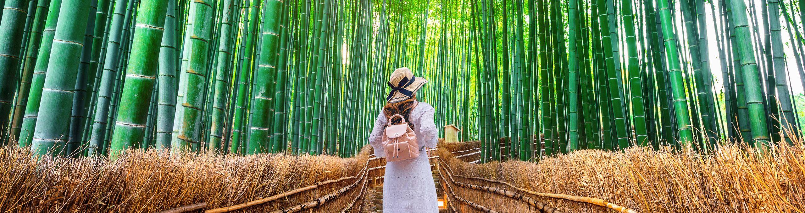 Lifestyle Sustainable