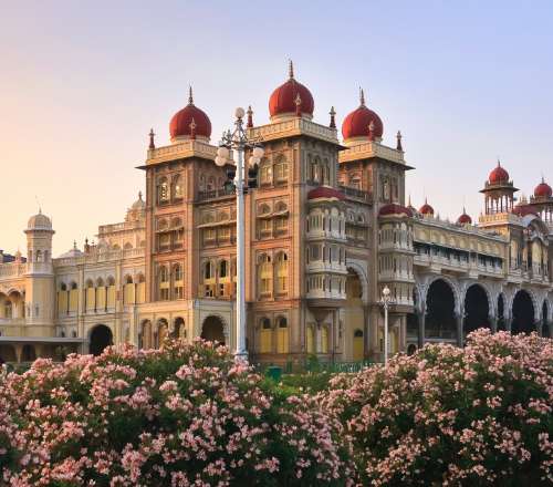 A City Lived through its Greenery