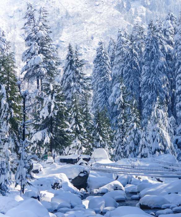 Places in North India where you can have a White Christmas