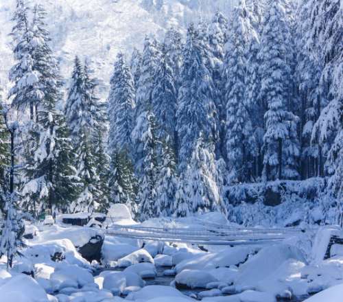 Places in North India where you can have a White Christmas