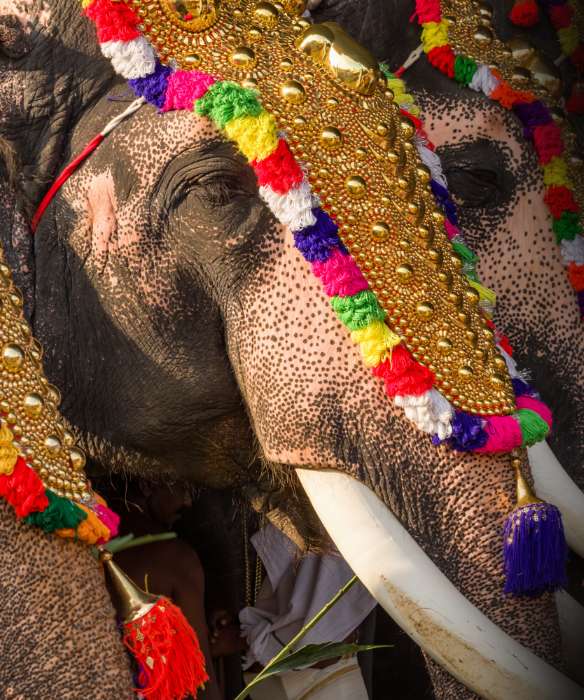 Thrissurpooram Kerala’s Largest Temple Festival