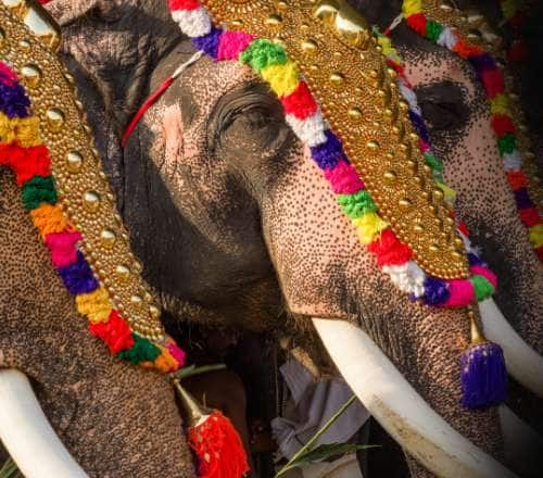 Thrissurpooram Kerala’s Largest Temple Festival