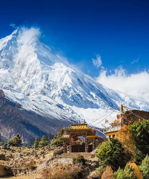 An Encounter with the Exclusive Ghost of the himalayas