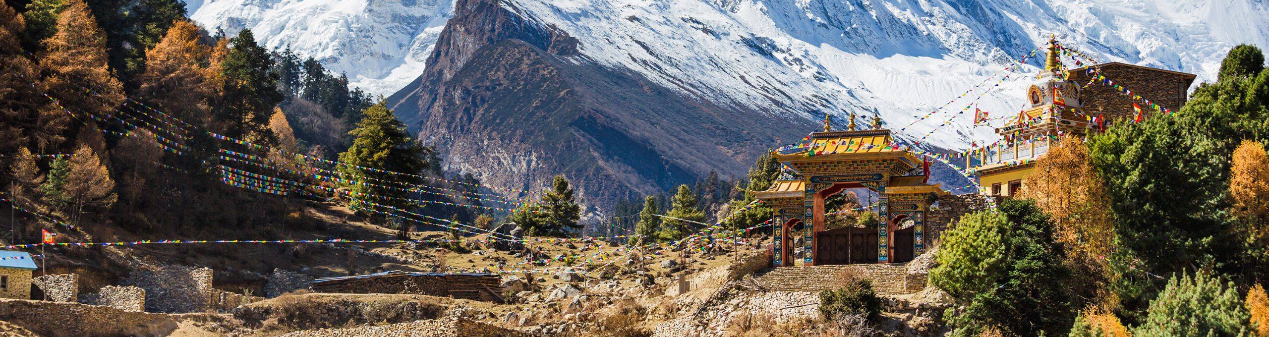 An Encounter with the Exclusive Ghost of the himalayas