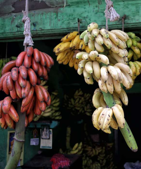 a-visit-to-the-banana-market-in-madurai