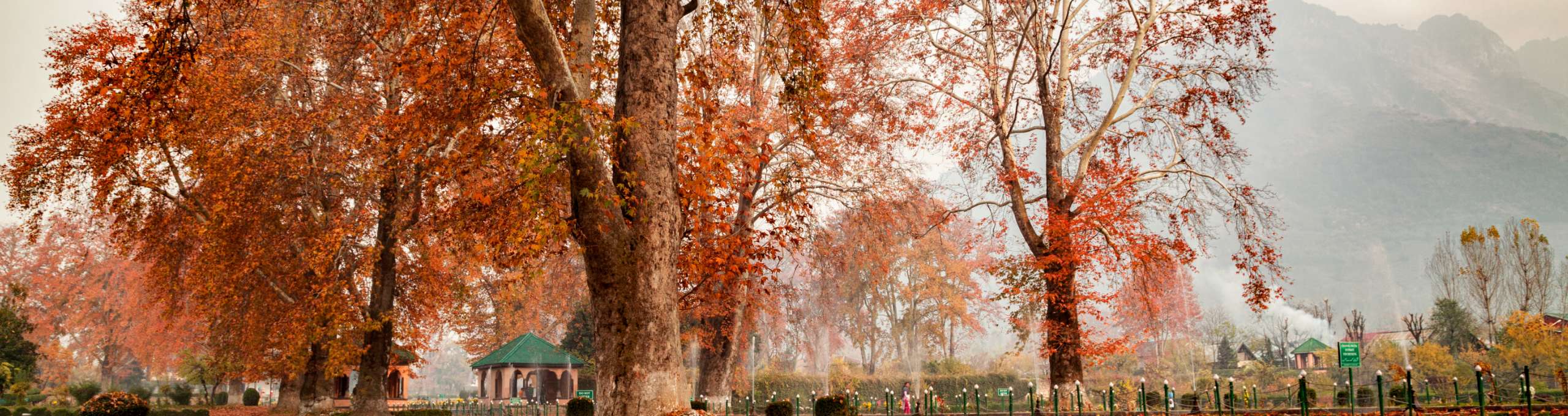 colours-of-autumn-in-india