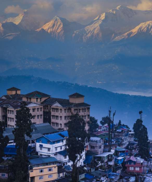 Darjeelings Christmas Carnival