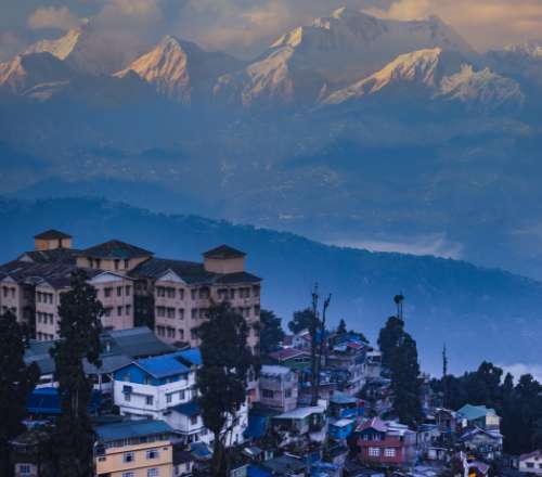 Darjeelings Christmas Carnival