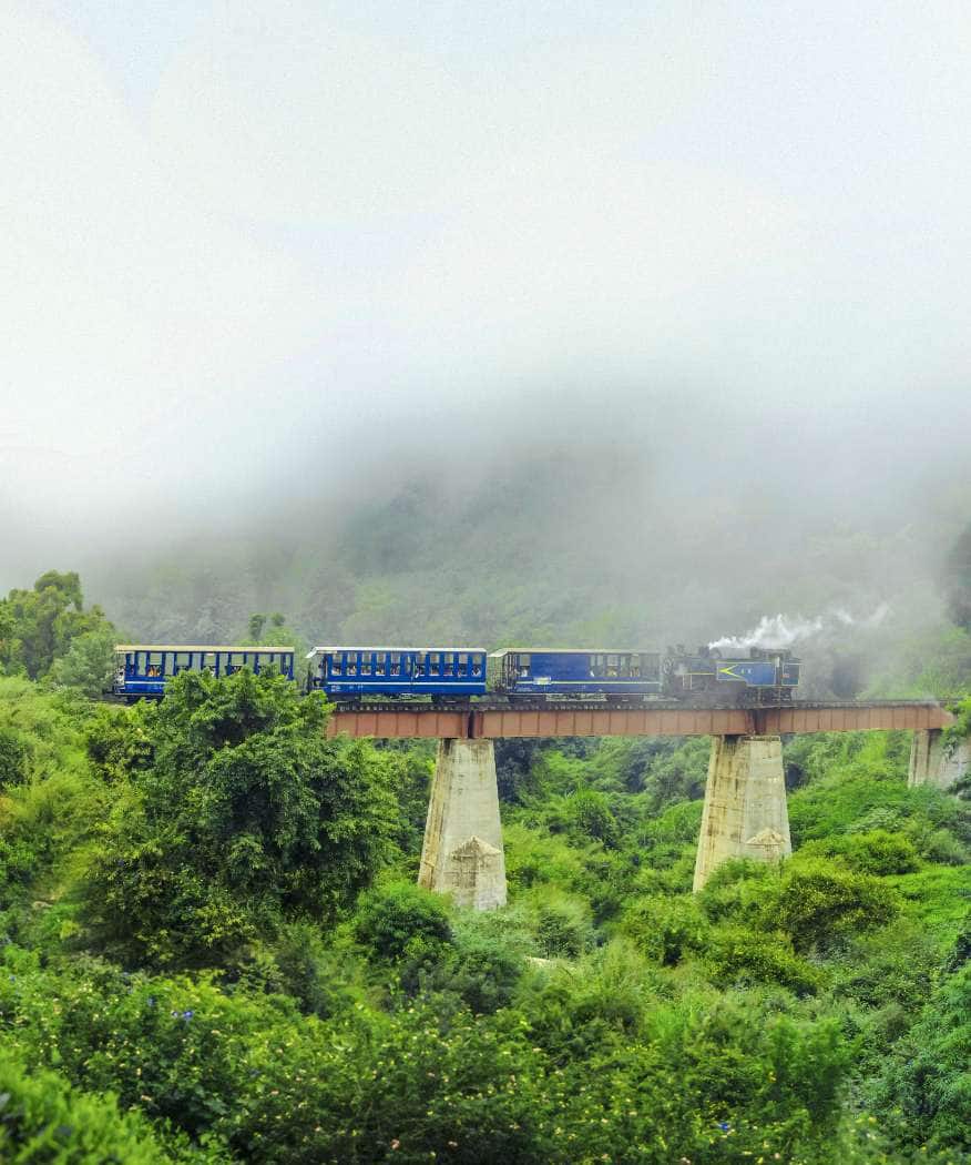 Ooty's Most Instagrammable Spots for Valentine's Day