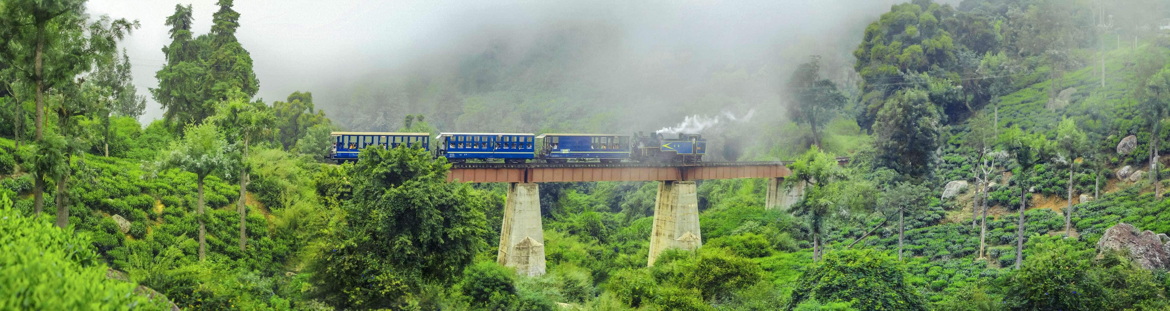 Ooty's Most Instagrammable Spots for Valentine's Day