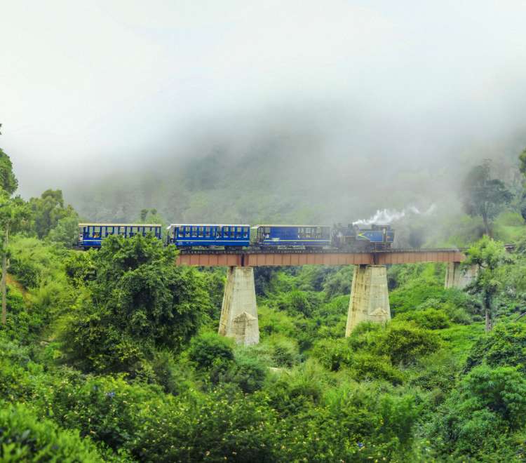 Ooty's Most Instagrammable Spots for Valentine's Day