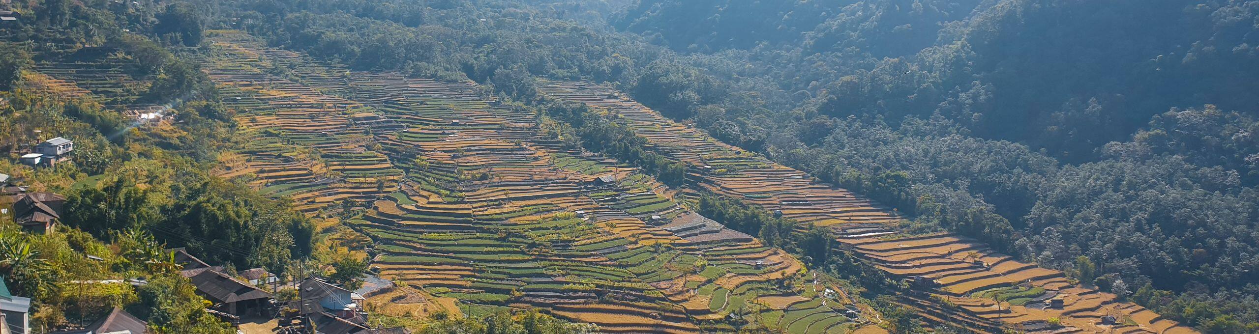 khonoma-asias-first-green-village