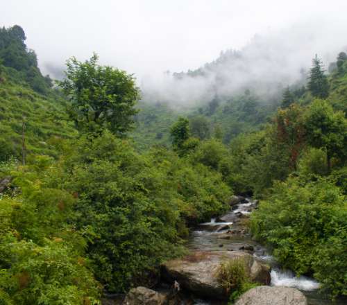 Lost in the Woods, I Found Myself in the Magic of Barot