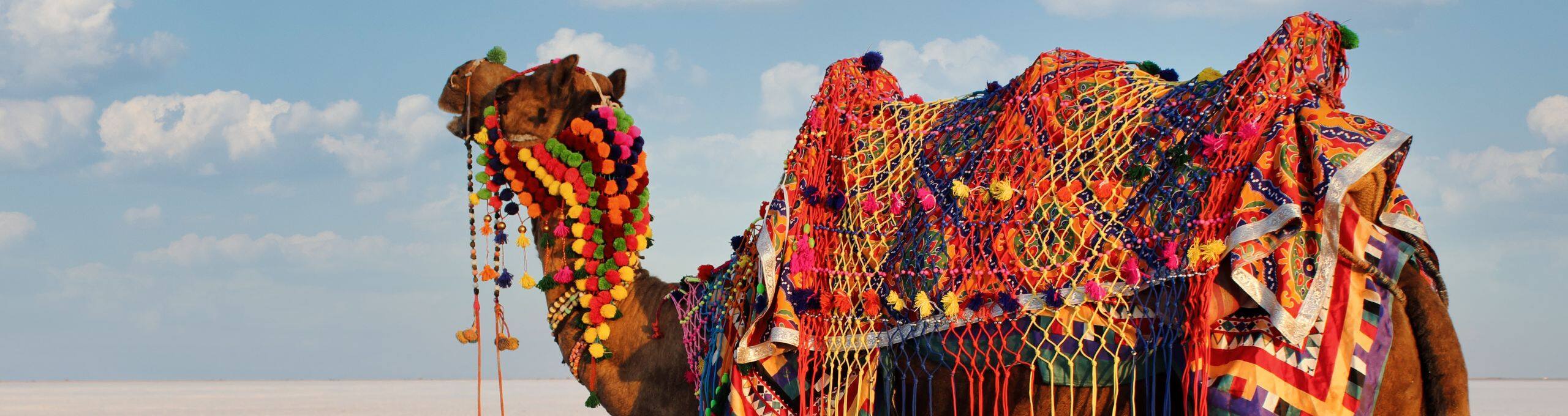 A sea of salt, a riot of colour – The essence of the Rann Utsav in Kutch, Gujarat